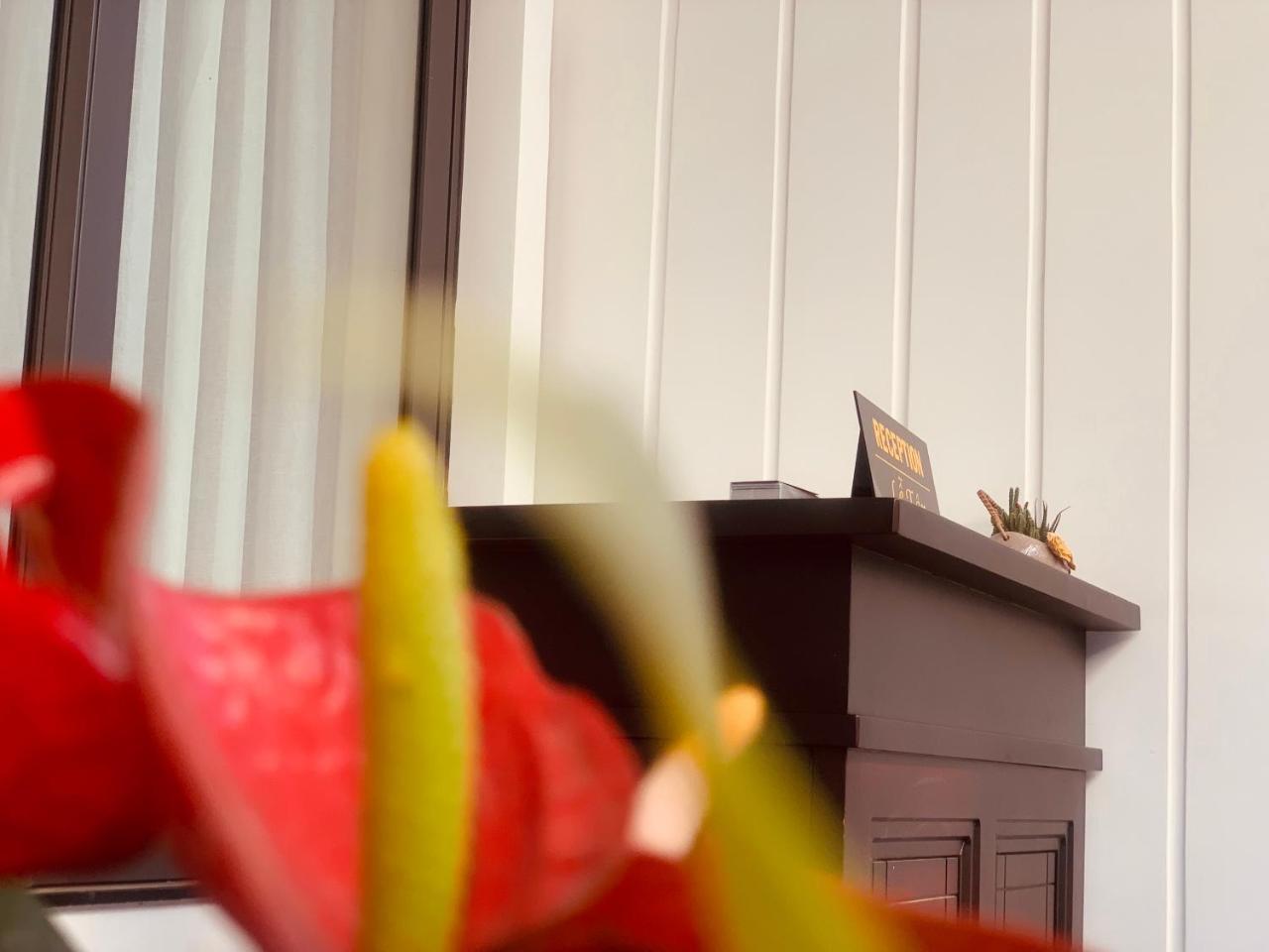 منزل وشقة مونلايت نها ترانج المظهر الخارجي الصورة